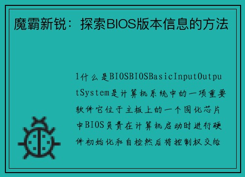 魔霸新锐：探索BIOS版本信息的方法
